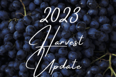 2023 Harvest Update | Click the link to visit this page